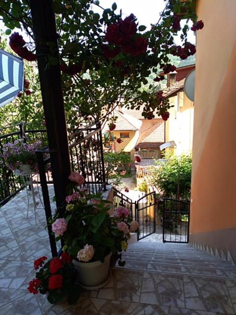 Gorazde-Centar Apartment Exterior foto