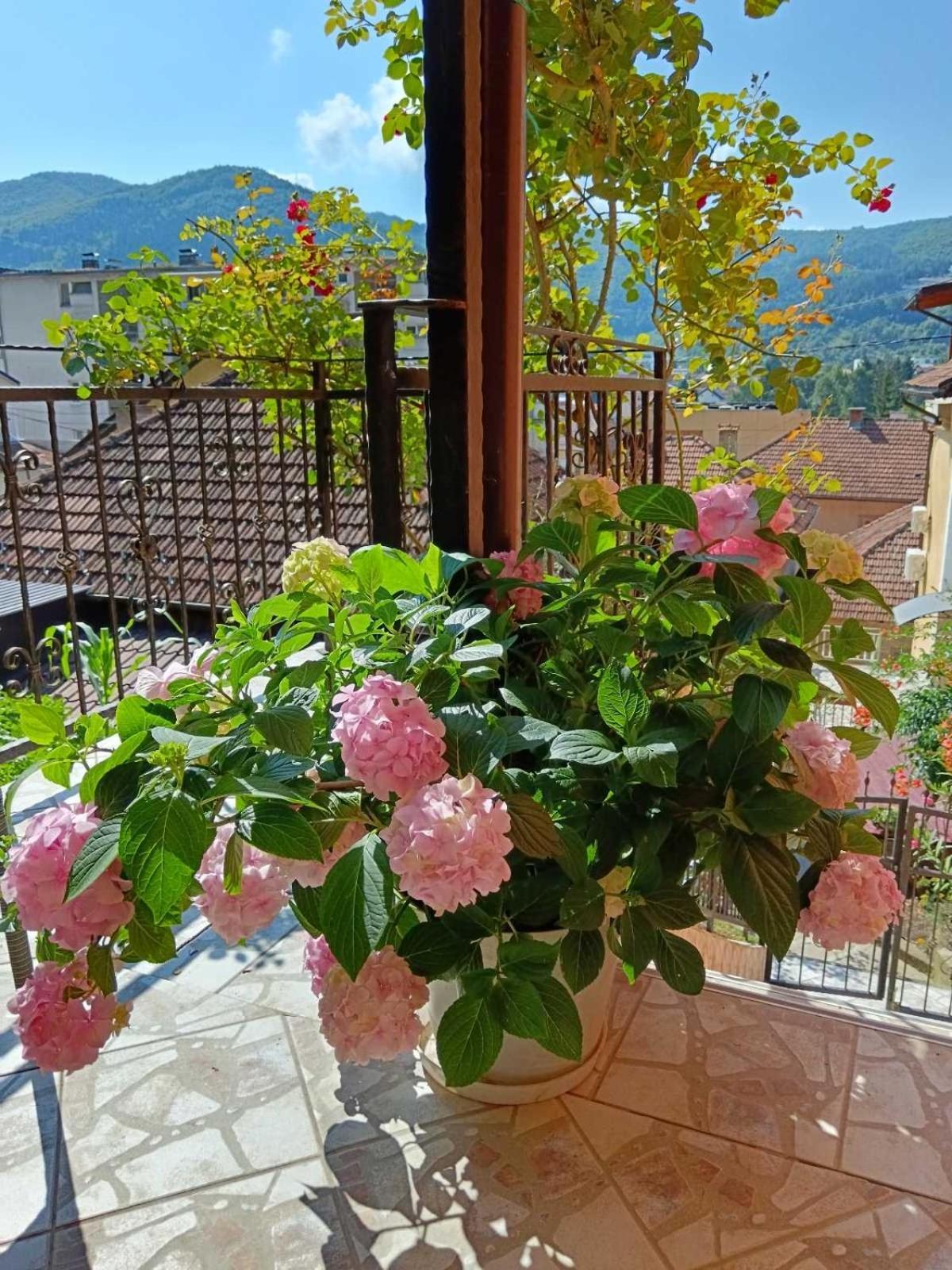 Gorazde-Centar Apartment Exterior foto